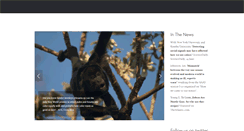 Desktop Screenshot of amandamelin.com